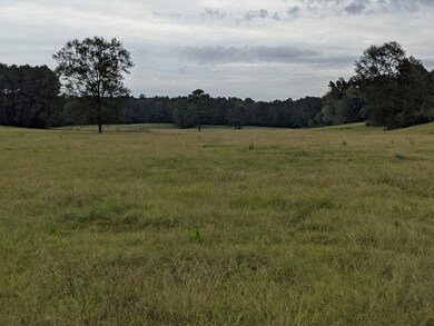 000 Conerly Dr, McComb, MS 39648 - photo 4