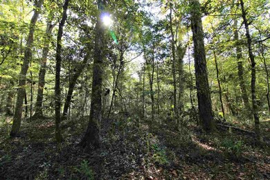 0 Governors Way unit 311407, Crawfordville, FL 32327 - photo 7