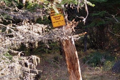 114a Packer Creek Rd, Haugen, MT 59842 - photo 5