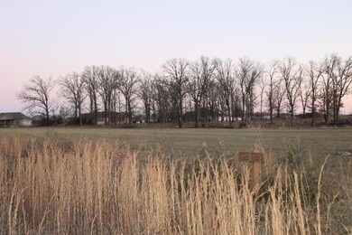 Tbd Meadow View Ln, Mountain Grove, MO 65711 - photo 2