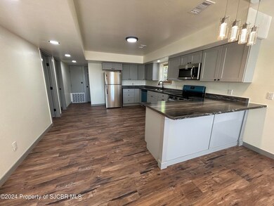 424 W Blanco Blvd, Bloomfield, NM 87413 - photo 4