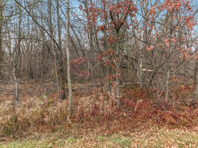 xxx 29 1 2 St, Chetek, WI 54728 - photo 4