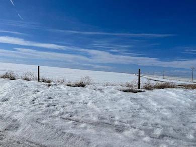 0 Cr 3, Rush, CO 80833 - photo 5