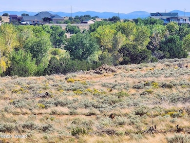 Tumbleweed 5