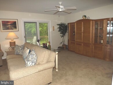 527 Summit Ct, Media, PA 19063 - photo 5