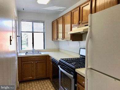 3817 Davis Place NW unit 3, Washington, DC 20007 - photo 7