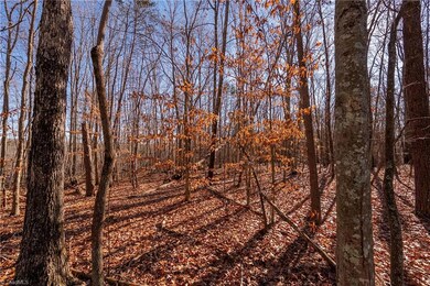 0 Brown Rd, King, NC 27021 - photo 4