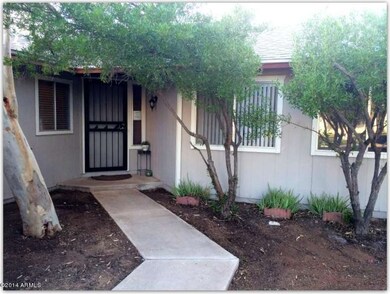 front yard 3