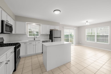 4508 W Azalea Ave, Monee, IL 60449 - photo 4