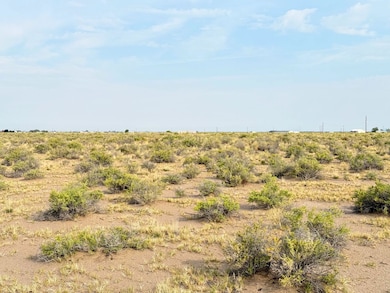 0 Echo Dr unit 25760892, Alamosa, CO 81101 - photo 6