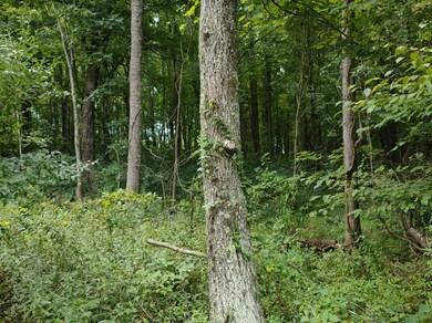 IMG_20210907_132940630