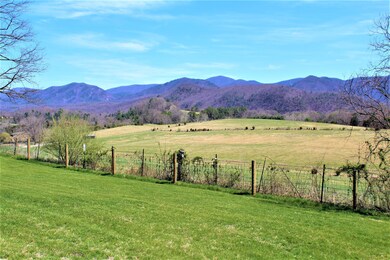 Blue Ridge Mountain views from backyard