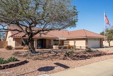 03_13948_W_White_Wood3_mls