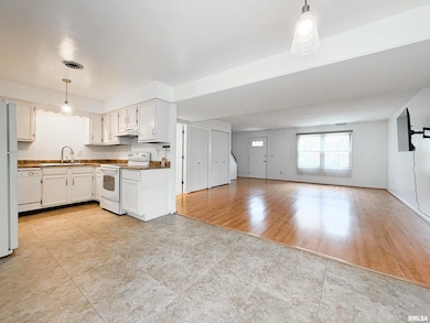 3516 W Richwoods Blvd unit 10, Peoria, IL 61604 - photo 4