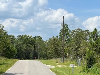 6253 Emory Ave, Keystone Heights, FL 32656 - photo 4