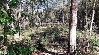 TBD NE 239th Place, Fort Mc Coy, FL 32134 - photo 2