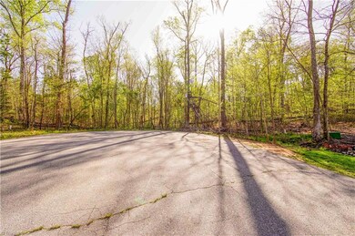 View of road frontage for 432 Big Tree Road.