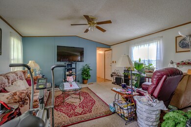 DanHolt17077Lawrence1224-1