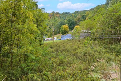 348 Chandler Creek Rd, Mars Hill, NC 28754 - photo 5