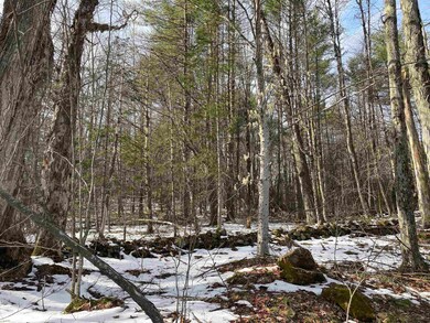 0 Jerusalem Rd unit 4990793, Canaan, NH 03741 - photo 5