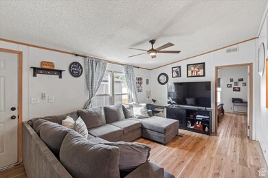 Living room featuring ornamental molding, light wood finished floors, a textured ceiling, vaulted ceiling, and a ceiling fan