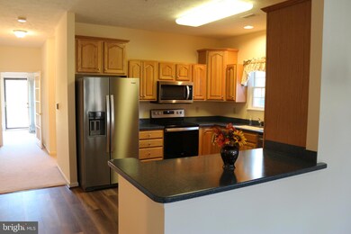 250 Sunbrook Ln unit 132, Hagerstown, MD 21742 - photo 7