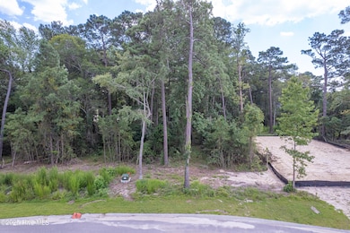 6077 Ocean Isle Palms Way-4