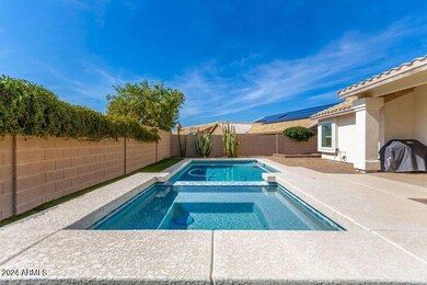 W - Pool with spa
