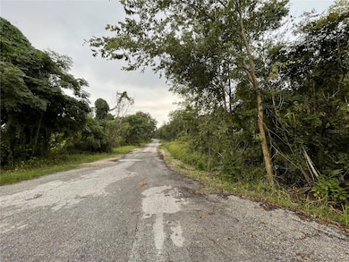 TBD Hickory Track Dr, Silver Springs Shores, FL 34472 - photo 2