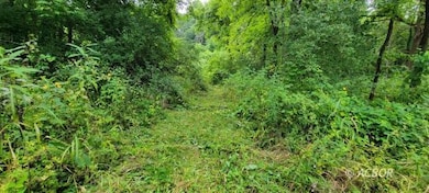 Lot 6 Sanner Rd, Nelsonville, OH 45764 - photo 4