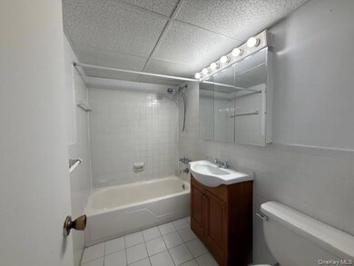 100 Clinton Ave unit 1V, Mineola, NY 11501 - photo 5