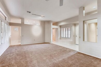 14132 W Circle Ridge Sun City-large-007-