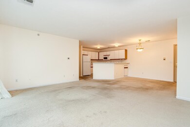 Living Room/Kitchen