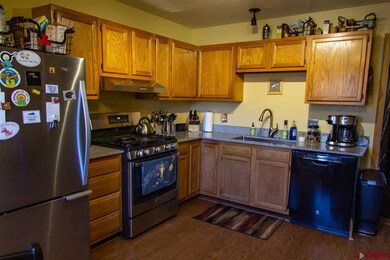 3227 E 7th Ave, Durango, CO 81301 - photo 7