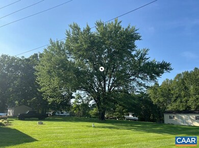 Rear Lawn Shade Tree