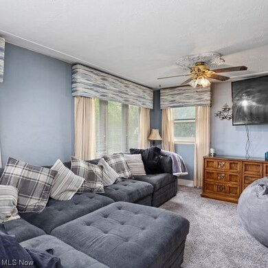 4900 Richelieu Ave, Sheffield Lake, OH 44054 - photo 4