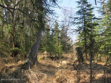Private back yard2