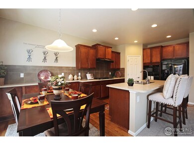 6355 Huntly Rd, Timnath, CO 80547 - photo 5