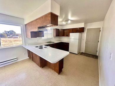 12 Cedar Dr, Norwood, CO 81423 - photo 2