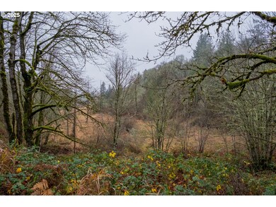 38353 SW Laurelwood Rd, Gaston, OR 97119 - photo 4