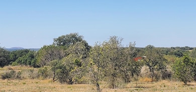 Tract 6 Lehne Loop, Buchanan Dam, TX 78609 - photo 2