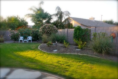 Grassy area of Huge Backyard!