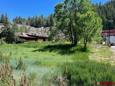 351 E Pagosa St, Pagosa Springs, CO 81147 - photo 6