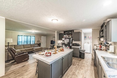 852 Boles Rd, Hazel Green, AL 35750 - photo 6