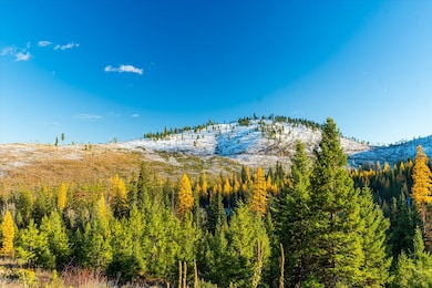 Nhn McGinnis Meadows - Bayhorse Road Section 5, Libby, MT 59923 - photo 2