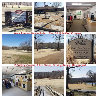 20 Lots in Cherokee Village, Cherokee Village, AR 72529 - photo 4