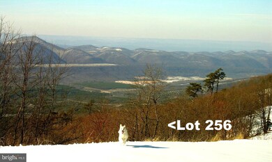 Lot 256 S Branch Mountain Rd, Moorefield, WV 26836 - photo 3