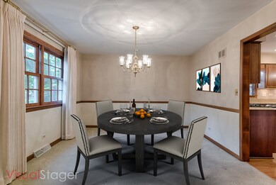 917 Canonero Dr, Naperville, IL 60540 - photo 6