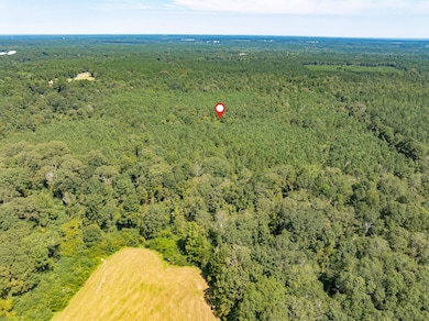 00 Mississippi 588, Collins, MS 39428 - photo 7