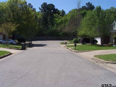 3433 3433 Bienville, Tyler, TX 75701 - photo 3